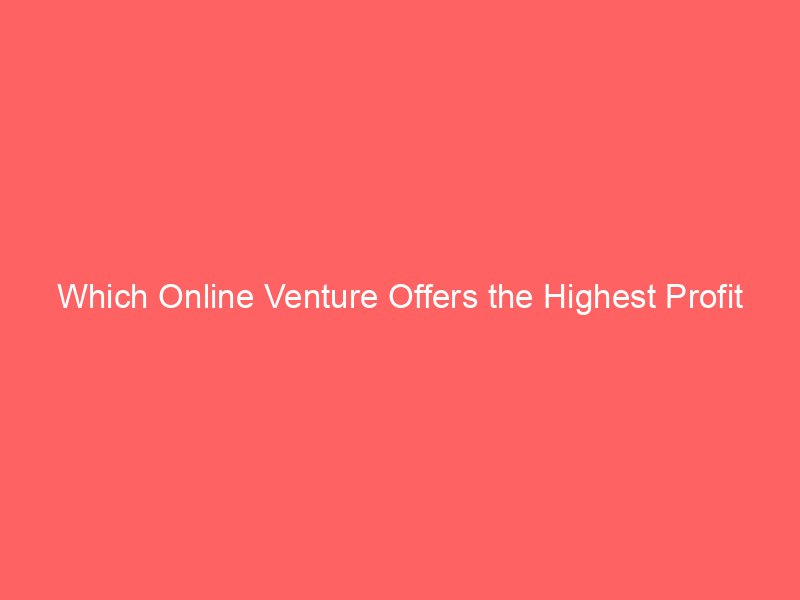 Which Online Venture Offers the Highest Profit Potential in 2024